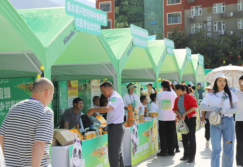 共話 甜蜜 事業(yè) 第八屆 世界蜜蜂日 5 20 主題活動(dòng)在綿陽(yáng)平武舉行