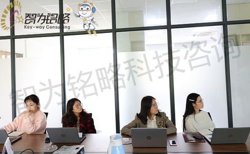 2021年蘇州高新技術(shù)企業(yè)申報 財務審計與研發(fā)管理優(yōu)化及勞務派遣服務指南